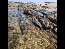 Klare Wasserbecken zwischen den Felsen