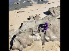 Was wohl diese Löcher sind?