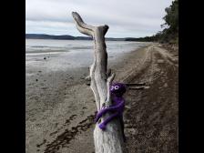 Menschenleer zur Ebbe: 5 Mile Beach