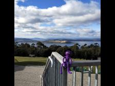 Der Blick von Mount Nelson