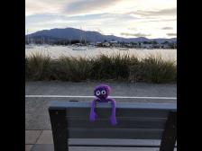 Die Bucht von Lindesfarne