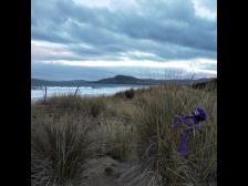 Sich an Strohhalmen festhalten