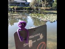 “Seichtes Gewässer“ Darf ich schwimmen?