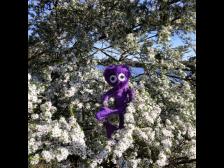 Anhalten und die Blüten schnuppern