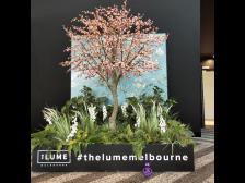 Wie es wohl drinnen aussieht?