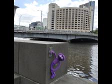 Halte durch oder &ldquo;Hang in there&ldquo;