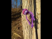 Ein seltener Baumknut!