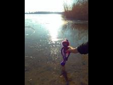 Holly kann &uuml;bers (gefrorene) Wasser laufen!