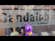 Daf&uuml;r hat Gandalph auf, schnell rein!