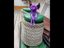 Das Tauwerk ist ordentlich aufgerollt. Danke, Knerten!