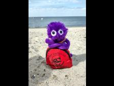 Leute, ich habe eine ganz tolle Idee!