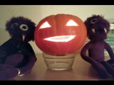 Na, ist der super oder was?