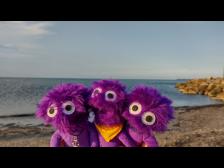 Drei Knuts im Licht der Abendsonne...