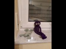 Knut findet schnell neue Freunde