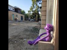 Knutine träumt von einem Haus