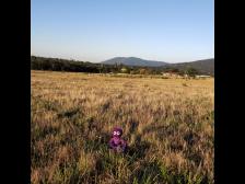 Ein weites Feld, das noch nicht zugebaut ist