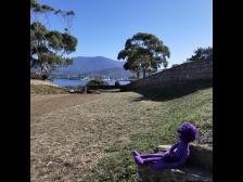 Blick zum anderen Ufer (Kangaroo Bluff Battery, Hobart)
