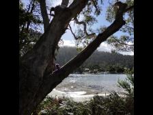 Schimmernd an der anderen Seite der Felsenwand (Orford)