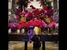 Blumen vom Pferderennen Feiertag (das Hufeisen im Hintergrund ist kein Zufall)