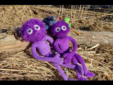 v.l.n.r.: Knerten Agathe, Holly, Fiete