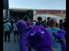 Hurra, wir sind daha!