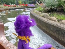 Die Blumenmeer-Bootsfahrt. Nice!