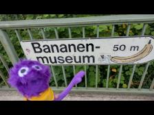 ins Bananenmuseum? Ich glaube nicht, Kjell!