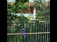 Zum Gl&uuml;ck braucht Knut nichts von Chanel