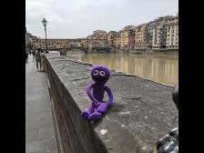 Der Arno passt dem gelben Putz