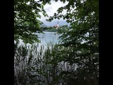Leider zu regnerisch für`s Fell - See Bled