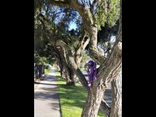 Ich weiß wohin wir hingehen