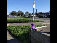 Knut braucht den Friseur auf der anderen Straßenseite nicht