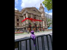 Recht weihnachtlich ohne Sicherheitswarnungen. Im Hintergrund das Rathaus.