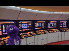 Kein Knut auf der Br&uuml;cke? Alles muss man alleine machen!