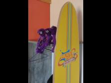 Wir sollen auf dem Schrank schlafen? Super!