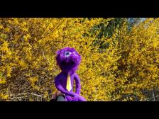 Na, kommt da etwa langsam der Frühling angeschlichen?