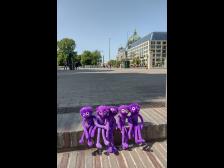 Versucht nicht zu sehr wie Touristen auszusehen!