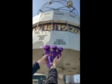 In Melbourne haben die Knuts eine andere Zeit? Verrückt!