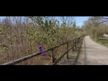 Kurze Pause. Erstaunlich leer auf den Wegen.