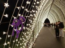 Der Lichttunnel - wie romantisch 