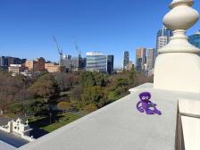 Zerzaustes Fell so früh morgens, aber lohnt sich für die Aussicht auf den Carlton Park und die Wolkenkratzer drum herum