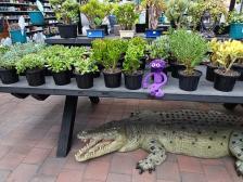 Australischer wird's wohl nicht