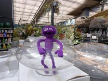 So hat meine eine bessere Sicht