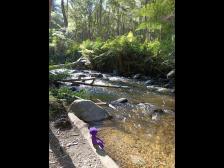 Wie, du hast die kühlen Bierchen zu Hause vergessen?!