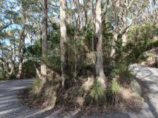 Der Aufstieg zum Gipfel von Mount Oberon