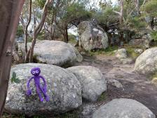 Jeder Schritt schmerzt, aber der kleine Pfad sieht einladend aus