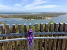 Ein paar Inseln in der N&auml;he der Stadt Lakes Entrance. Nur erreichbar mit Boot