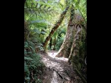 Pass auf Schlangen auf, Knutine! 