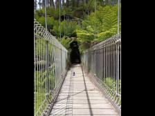 Sieht stabiler aus als die H&auml;ngebr&uuml;cke in Indiana Jones und der Tempel des Todes, aber besser nicht zu viel h&uuml;pfen