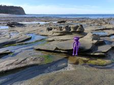 Lorelei überblickt ihre Domäne